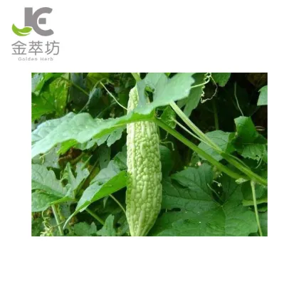 Factory supply natural bitter melon extract powder bitter melon polypeptide for hypoglycemic