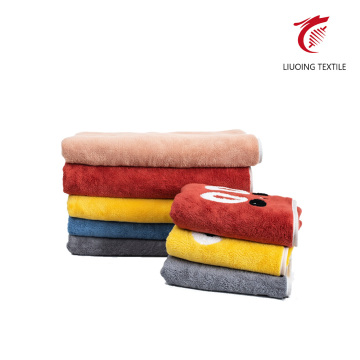 Coral Fleece Embroidered Towel