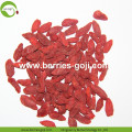 Factory  Wholesale Cosmetic Diet New Arrival Wolfberries