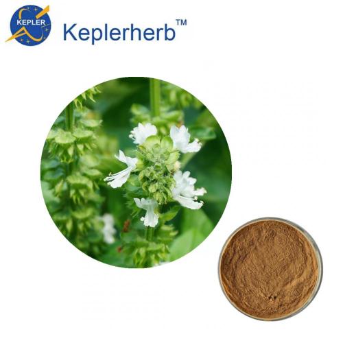 other dietary supplements Ocimum sanctum extract powder Supplier