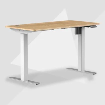 Standing Desk Electric ErgonomicOffice Computer Desk Adjustable Modern Desk