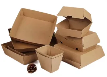 Cardboard takeaway food tray fried chicken box