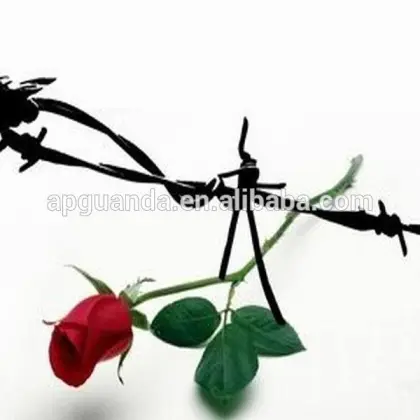 high quality barbed wire anping