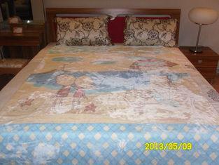 Home Fleece King Size Micro Fleece Fiber Blanket Printed Wi