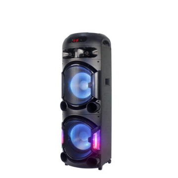 Double 12 Subwoofer Portable Wireless Speaker with Rechargeable Battery