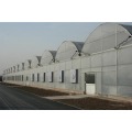 Agricultural Plastic Film Covered Greenhouse