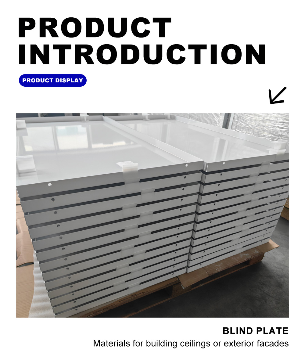 1-blind plate-x