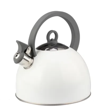 Whistling Stove Top Stainless Steel Tea Kettle