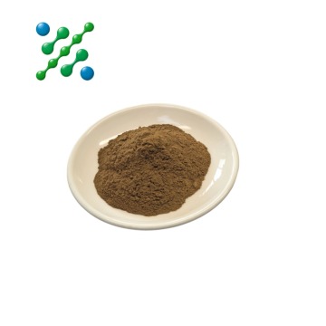 Purple Coneflower Extract Powder