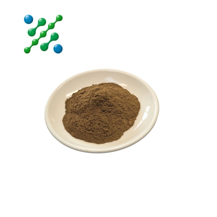 Echinacea Purpurea Extract Powder
