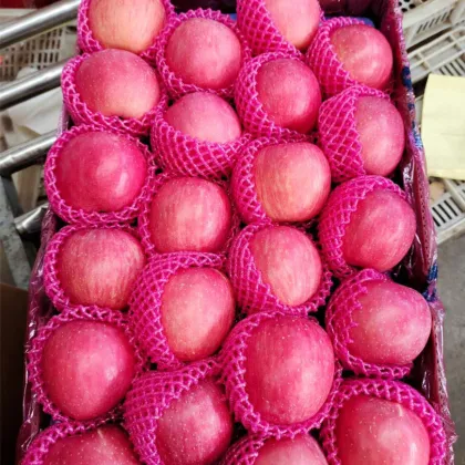 Qia Xia Paper Bagged Fuji Apples