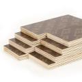 Customized Film Faced Plywood