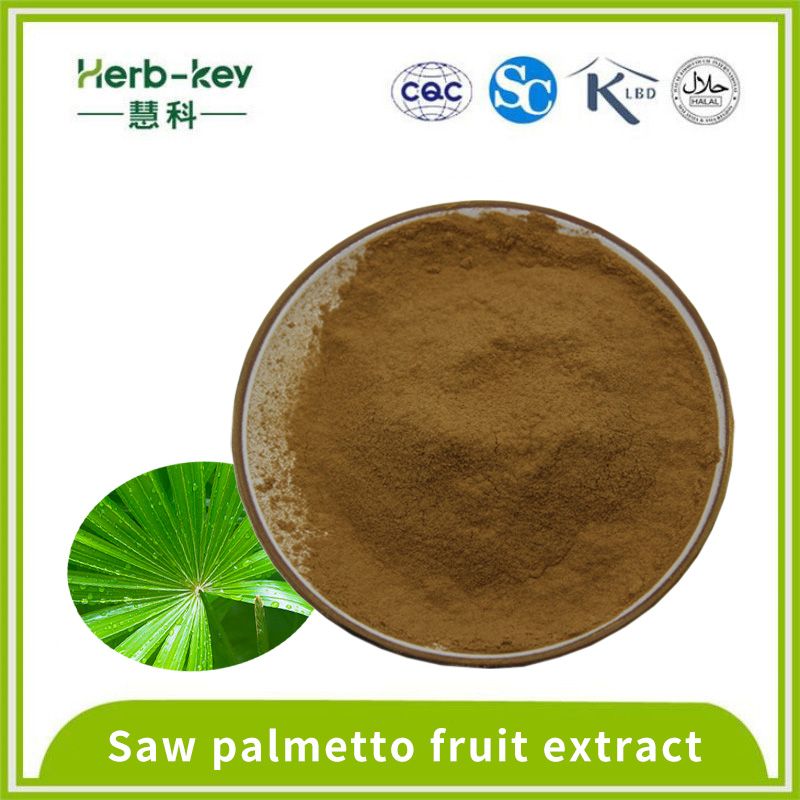 Saw Palmetto Fruit extrait 25% de poudre d'acide gras