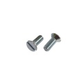 Stainless/Steel slotted countersunk head screws