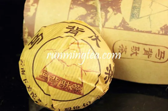 2007 Xiaguan Big Ma Bei Tuo Raw Puer Tuo