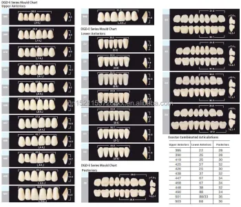 High Quality Synthetic Resin Teeth for Sale