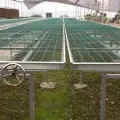 Welded Wire Panels Flower Nursery Seedbed in Greenhouse Manufactory