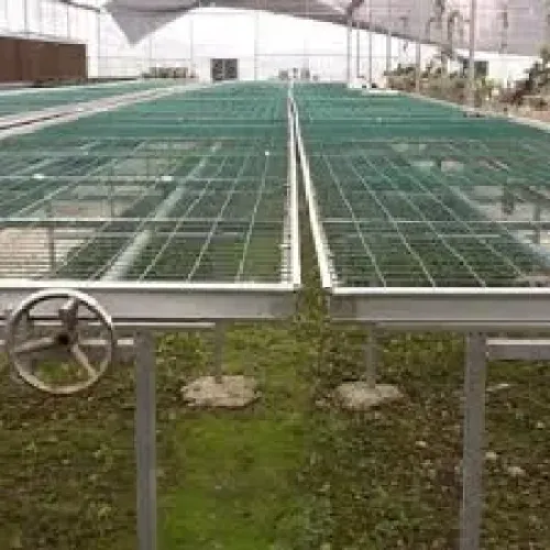 Welded Wire Panels Flower Nursery Seedbed in Greenhouse Manufactory