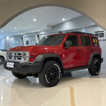 2021 Танк 300 внедорожник 2.0T Завоеватель