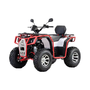2024 Best-Selling 4-Wheel Gasoline 200cc 4 Stroke Air Cooled Electric Start ATV