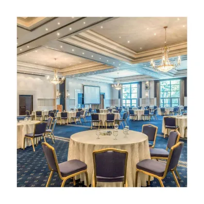 Top Quality Restaurant Axminster Wool Carpet