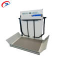 Inclined Wheelchair Lift Platform