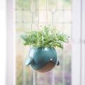 Bluebird Hanging Planter Pot