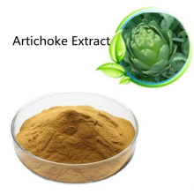 Buy online active ingredients Artichoke Extract powder