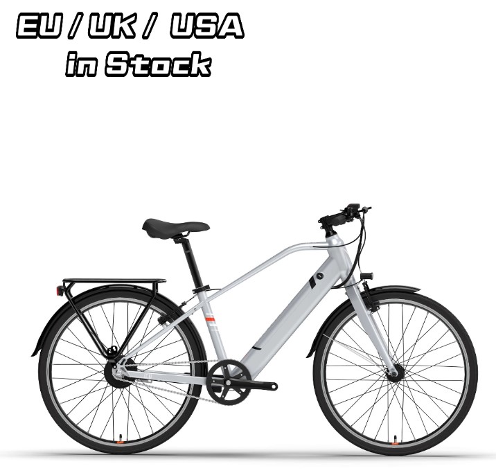 City eBike mit abnehmbarem Akku