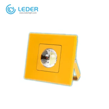 LEDER 50W Induction Led Flood Light