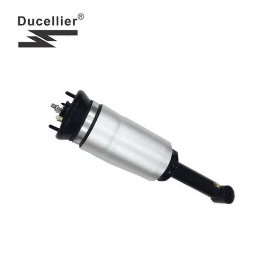 Air Shock RNB501580 RNB501250 for Land Rover Discovery 3 Air Suspension Strut