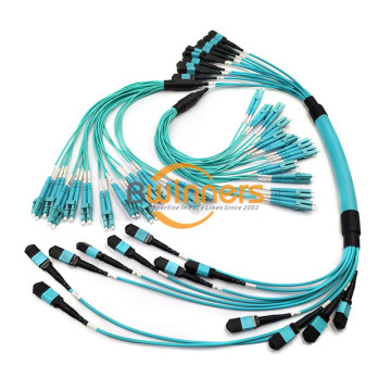 Cable de conexión de fibra 288F MPO-LC DX