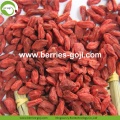 Toptan Beslenme Sağlıklı Eu Standard Goji Berries