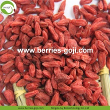 Wholesale Nutrition Healthy Eu Standard Goji Berries