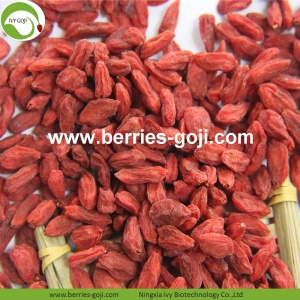 Nutrição por atacado Healthy Eu Standard Goji Berries