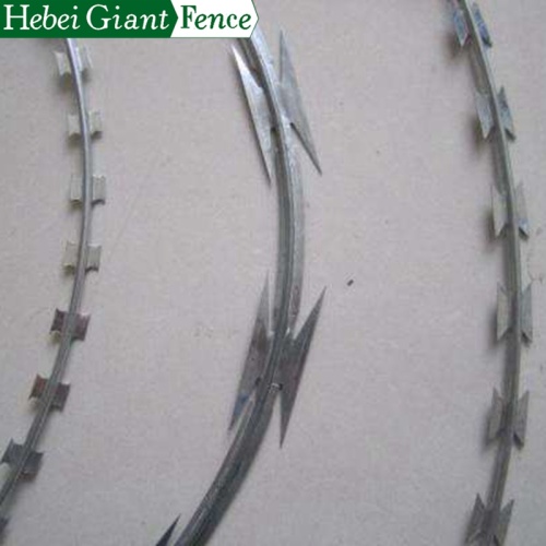 Galvanized Razor Barbed wire for Security Fence