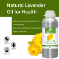 Hot selling 100% pure natural organic helichrysum italicum essential oil in bulk helichrysum oil