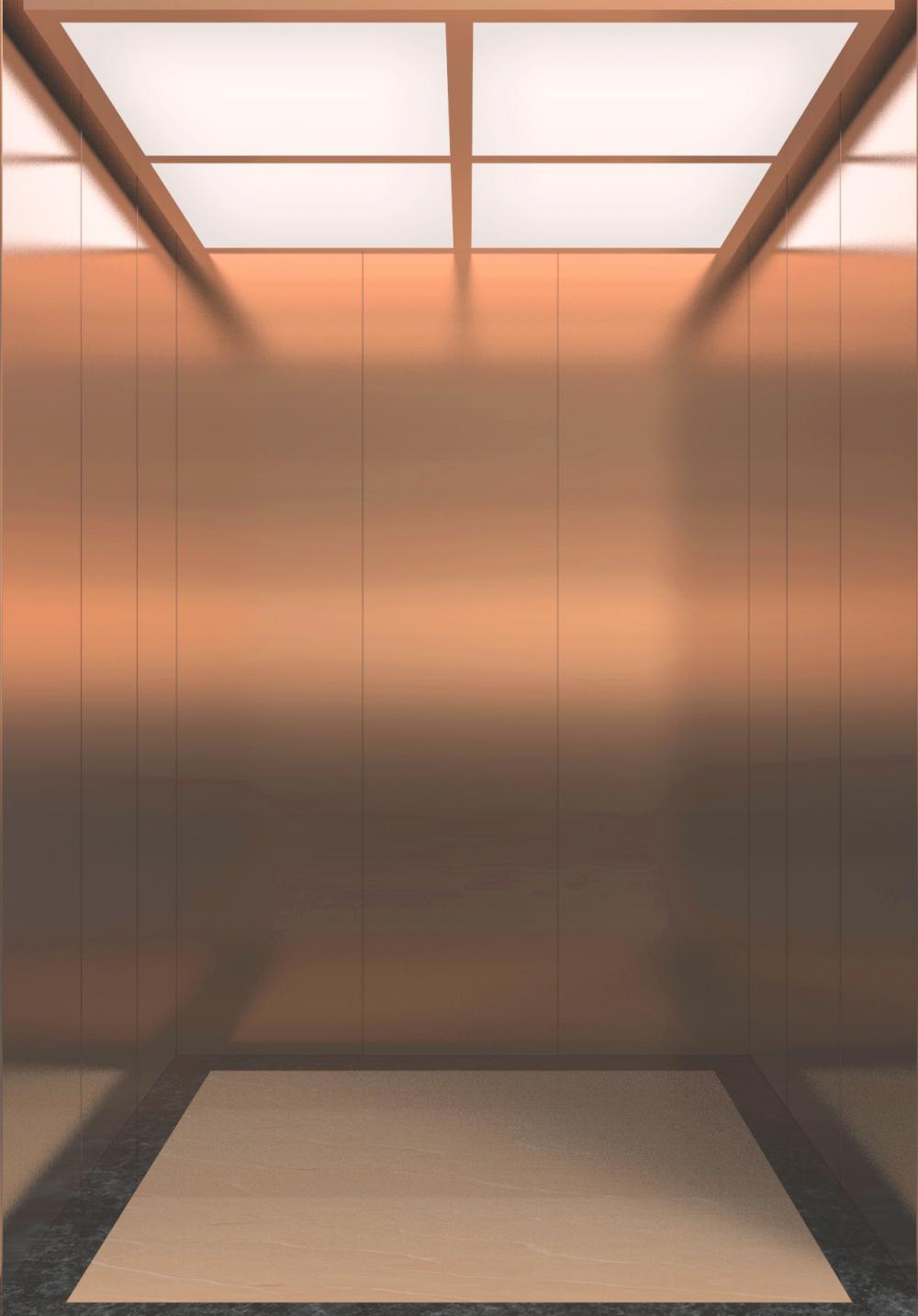 IFE JOYMORE-6 Machine Room Residential Elevator