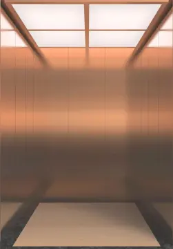 IFE BUILDINGEYE-ME glass panoramic elevator Sightseeing lift