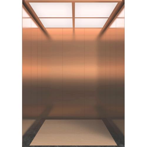 IFE JOYMORE-7 Residential Elevator with Group Control System