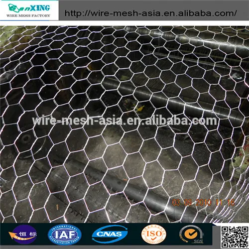 Electro galvanized chicken wire mesh/hexagonal wire mesh for polutry feeding