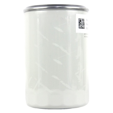 Fuerdun Brand ODM Fuel Filter Model 1001120353: Product Details and Specifications