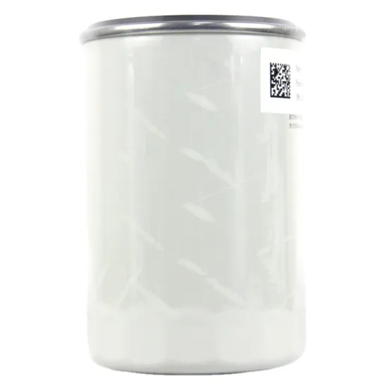 Fuerdun Brand ODM Fuel Filter Model 1001120353: Product Details and Specifications