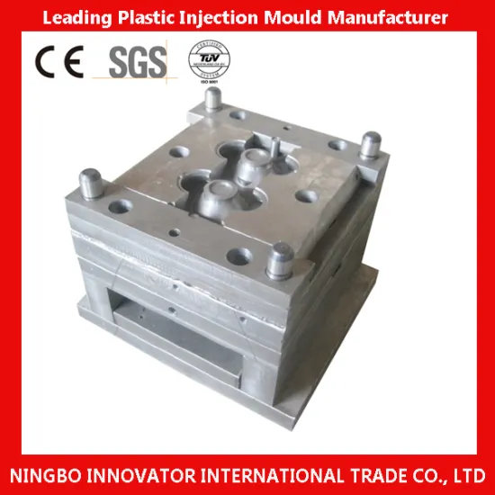 Plastic Injection Moulder, China Plastic Mold Factory (MLIE-PIM015)