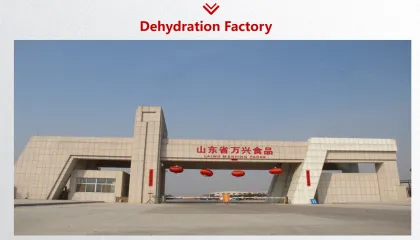 Organic natural garlic without pesticide