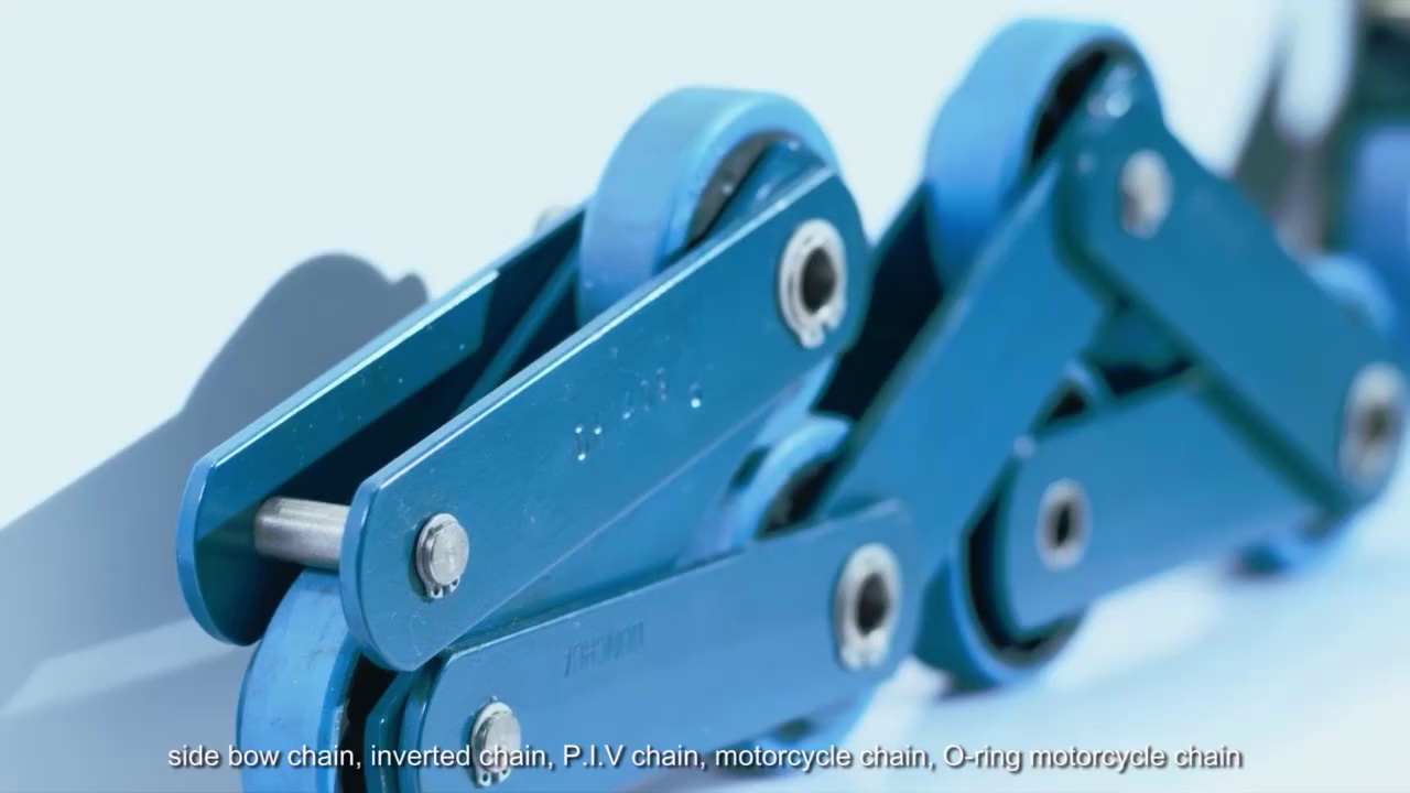 Premium Short Pitch Stainless Steel Roller Chain Conveyor Chain