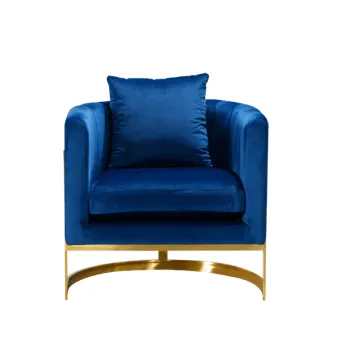 Modern Metal Frame Luxury Velvet Leather Lounge Chair for Living Room