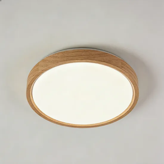 Simple design ceiling light fixture
