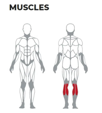 Seated Leg Curl Gym Fitness Equipment for Gym