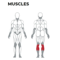 Equipamento de ginástica de ginástica de pernas sentadas para academia